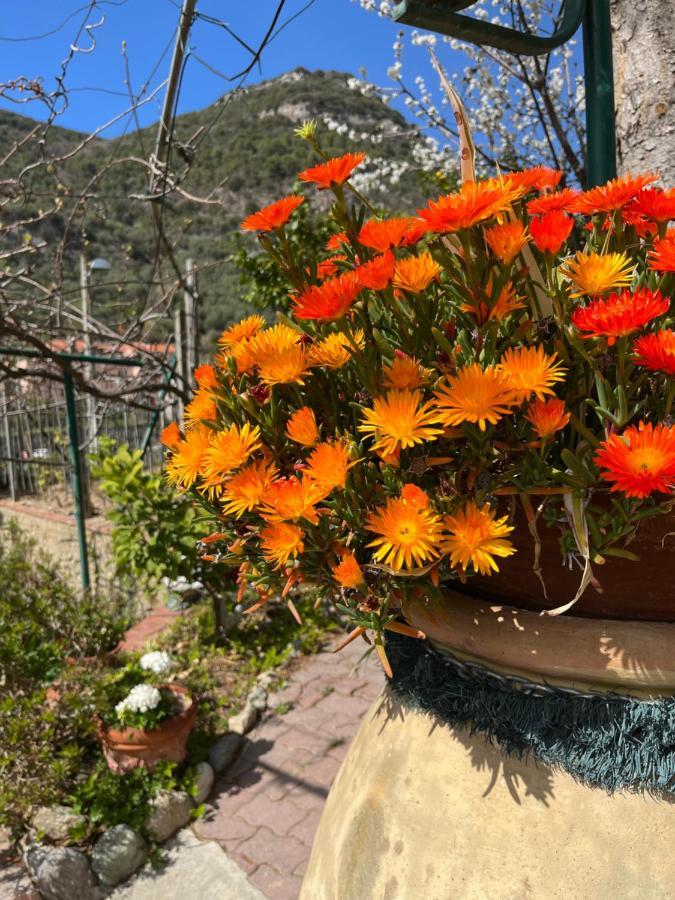 פינאלה ליגורה Rocca Di Corno Guest House מראה חיצוני תמונה